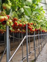 팜모닝 팜모닝·출석 게시글 이미지