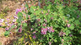 가평규남터밭농사님의 연말결산 자랑하기 · 참여글 작성글 사진