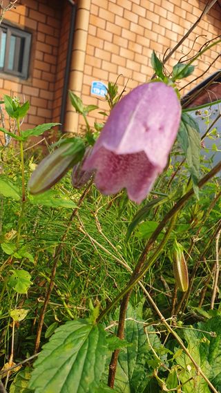 가평규남터밭농사님의 연말결산 자랑하기 · 참여글 작성글 사진