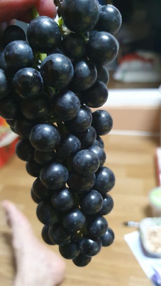 가평규남터밭농사님의 연말결산 자랑하기 · 참여글 작성글 사진