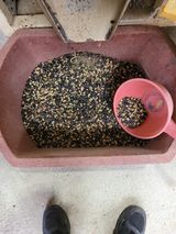 팜모닝 연말결산 자랑하기·참여글 게시글 이미지