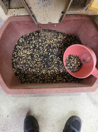 팜모닝회원논산농부님의 연말결산 자랑하기 · 참여글 작성글 사진