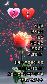 팜모닝 연말인사 함께 나눠요·참여글 게시글 이미지