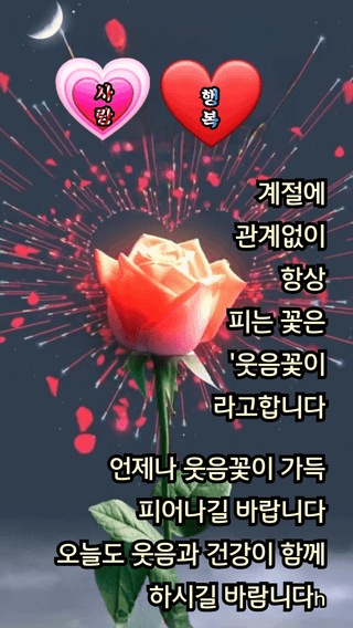 백숙희님의 연말인사 함께 나눠요 · 참여글 작성글 사진