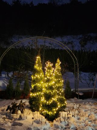 진도힐링농원님의 연말인사 함께 나눠요 · 참여글 작성글 사진