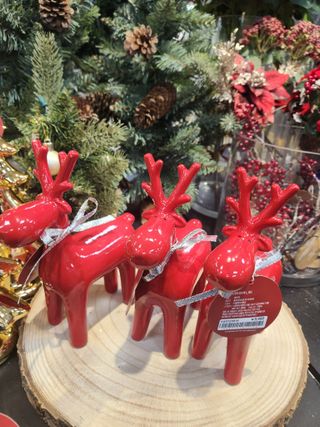 행복농원님의 자유주제 · 자유게시판 작성글 사진