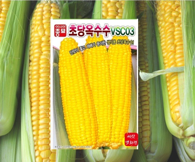 장터 상품 [아시아종묘  옥수수모음전] 썸네일