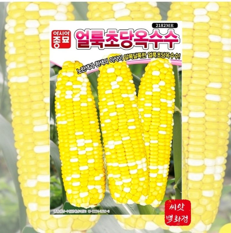 대산농사대장님의 장터 판매 상품 [아시아종묘  옥수수모음전] 첨부 사진