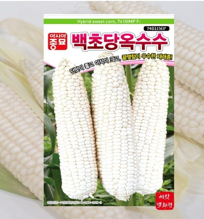 대산농사대장님의 장터 판매 상품 [아시아종묘  옥수수모음전] 첨부 사진