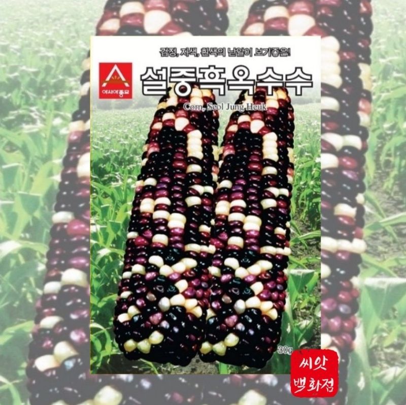 대산농사대장님의 장터 판매 상품 [아시아종묘  옥수수모음전] 첨부 사진