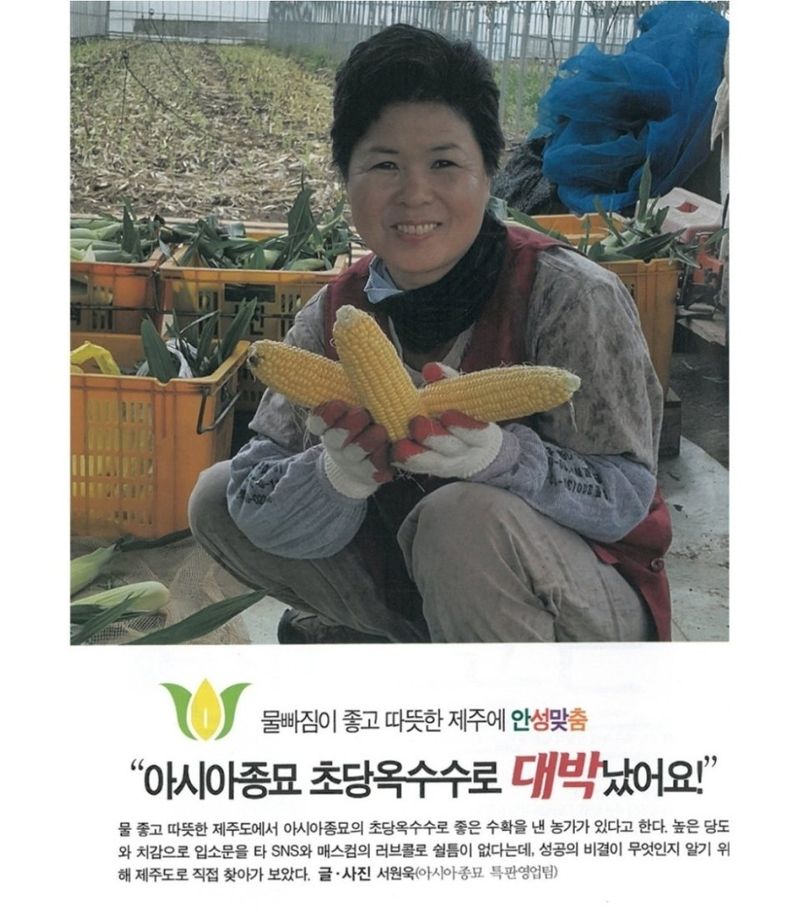 대산농사대장님의 장터 판매 상품 [아시아종묘  옥수수모음전] 첨부 사진