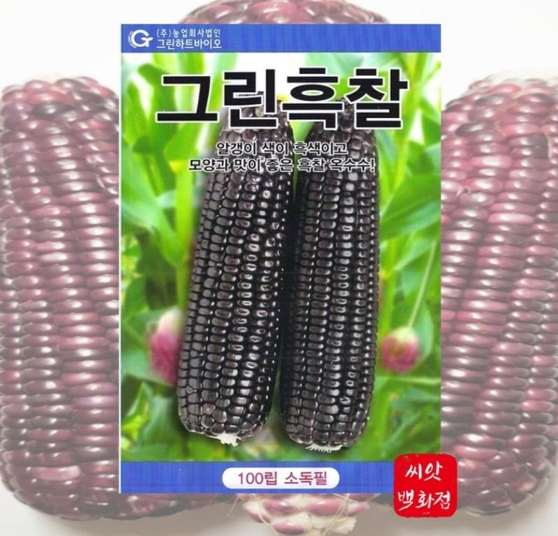 농사대장님의 장터 판매 상품 [그린흑찰/얼룩찰 옥수수종자] 첨부 사진