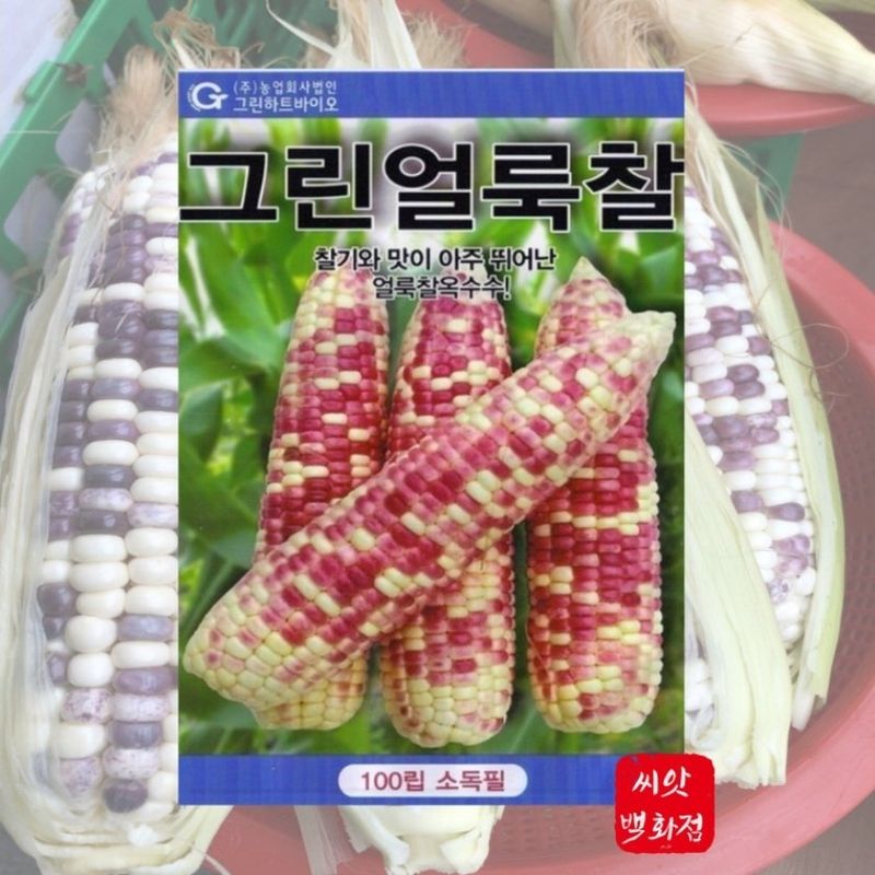 농사대장님의 장터 판매 상품 [그린흑찰/얼룩찰 옥수수종자] 첨부 사진