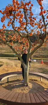 팜모닝 연말인사 함께 나눠요·참여글 게시글 이미지