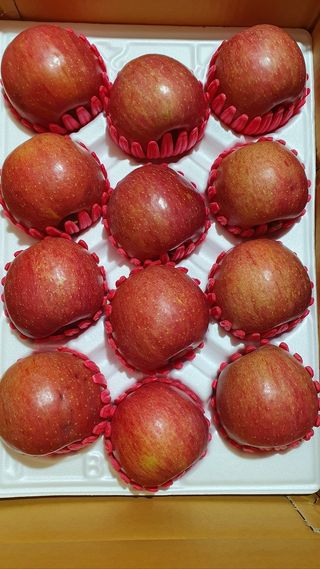 산꼭대기사과밭님의 연말인사 함께 나눠요 · 참여글 작성글 사진