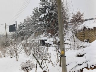 홍순오님의 농사, 무엇이든 물어보세요! · 참여글 작성글 사진