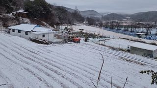 귀농9년차삼정농원님의 연말인사 함께 나눠요 · 참여글 작성글 사진