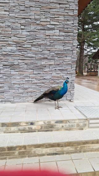 설 작 권 성 민님의 연말인사 함께 나눠요 · 참여글 작성글 사진