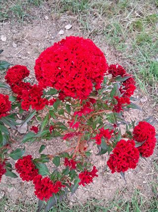 권도명님의 연말인사 함께 나눠요 · 참여글 작성글 사진