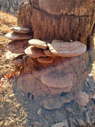권도명님의 연말인사 함께 나눠요 · 참여글 작성글 사진