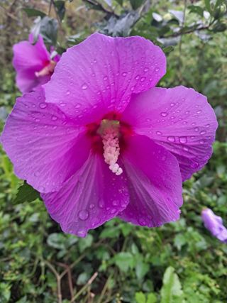 권도명님의 연말인사 함께 나눠요 · 참여글 작성글 사진