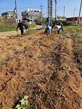 팜모닝 연말인사 함께 나눠요·참여글 게시글 이미지