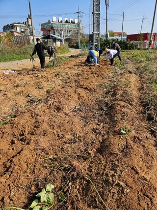 호박12662님의 연말인사 함께 나눠요 · 참여글 작성글 사진