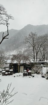 팜모닝 자유주제·자유게시판 게시글 이미지