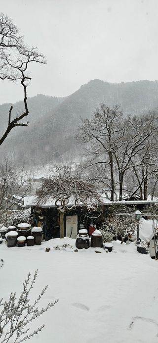 김둘점님의 자유주제 · 자유게시판 작성글 사진