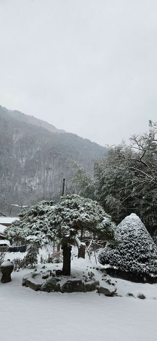 김둘점님의 자유주제 · 자유게시판 작성글 사진