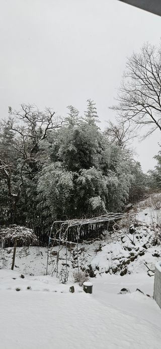 김둘점님의 자유주제 · 자유게시판 작성글 사진
