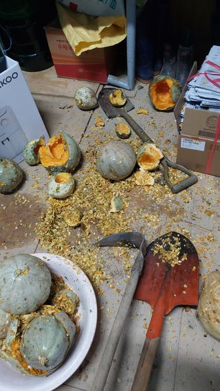 벼10129박병기님의 하우스정보 · 자유게시판 작성글 사진