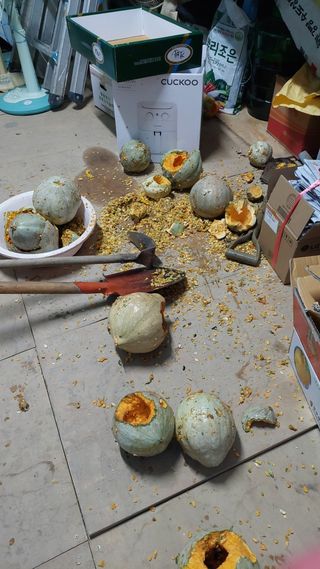 벼10129박병기님의 하우스정보 · 자유게시판 작성글 사진