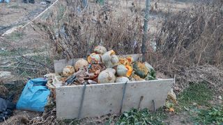 벼10129박병기님의 하우스정보 · 자유게시판 작성글 사진