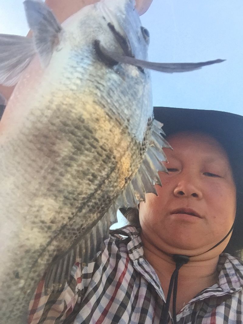 장터 상품 [도라지조청] 썸네일