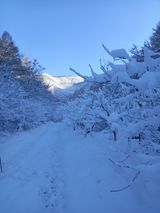 팜모닝 연말인사 함께 나눠요·참여글 게시글 이미지