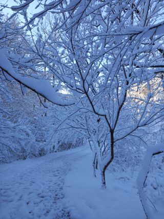 우#란님의 연말인사 함께 나눠요 · 참여글 작성글 사진