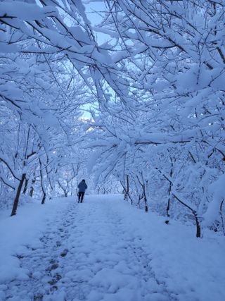우#란님의 연말인사 함께 나눠요 · 참여글 작성글 사진