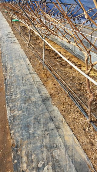 이레농장님의 연말결산 자랑하기 · 참여글 작성글 사진