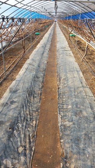 이레농장님의 연말결산 자랑하기 · 참여글 작성글 사진