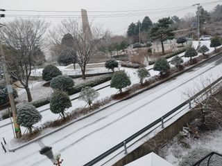 창호리초보농부님의 우리동네 · 동네정보 작성글 사진