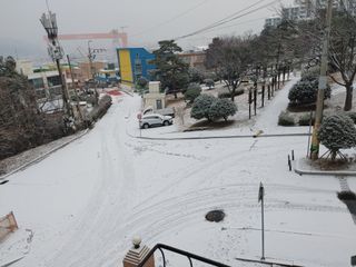 창호리초보농부님의 우리동네 · 동네정보 작성글 사진