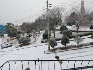 창호리초보농부님의 우리동네 · 동네정보 작성글 사진