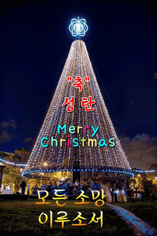 강화댁님의 자유주제 · 자유게시판 작성글 사진