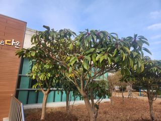 상록2님의 연말결산 자랑하기 · 참여글 작성글 사진