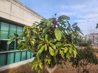 상록2님의 연말결산 자랑하기 · 참여글 작성글 사진