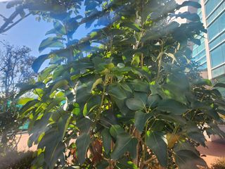 상록2님의 연말결산 자랑하기 · 참여글 작성글 사진