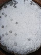 팜모닝 자유주제·사진전 게시글 이미지