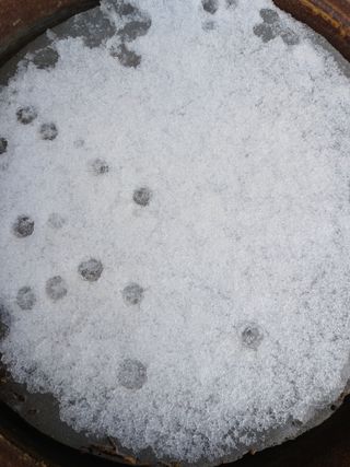 논산 농부 부인님의 자유주제 · 사진전 작성글 사진