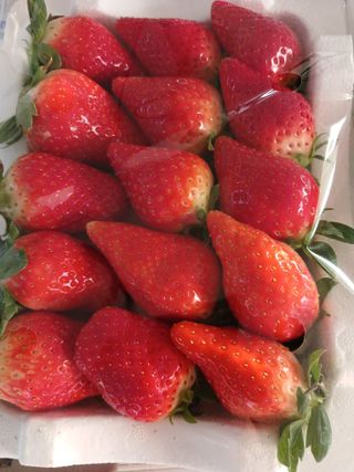 논산 농부 부인님의 자유주제 · 사진전 작성글 사진